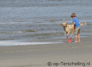 Urlaub auf Terschelling mit Hund