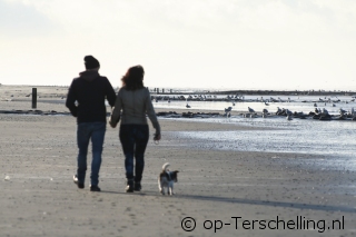 Urlaub auf Terschelling mit Hund