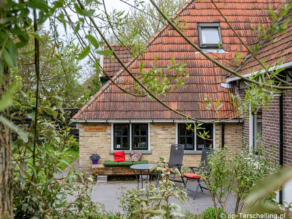 De Boschplaat, Rauchfreie Ferienunterkünfte auf Terschelling