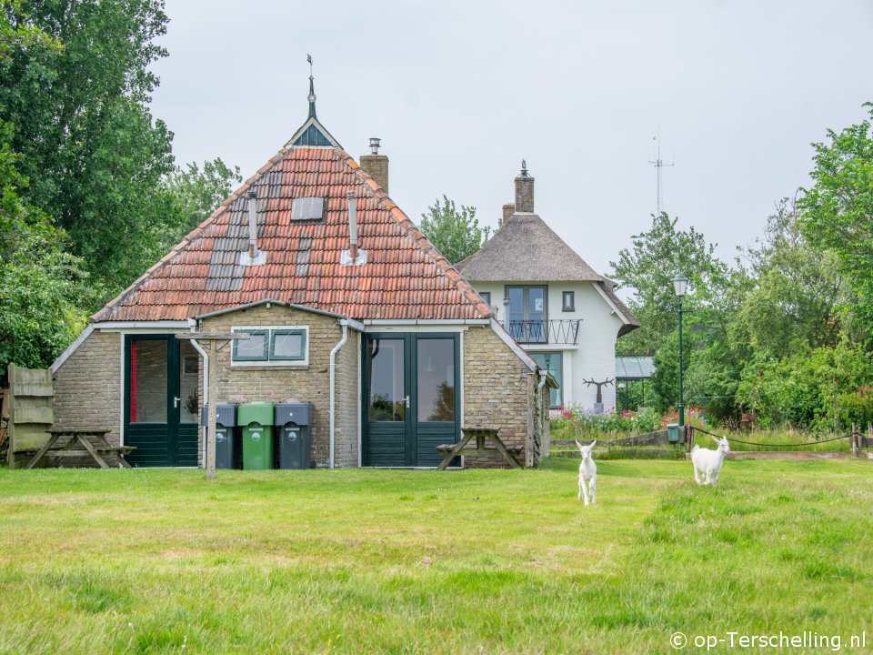 Doeke Neeke (West), Zum Terschelling mit Ihrem Hund