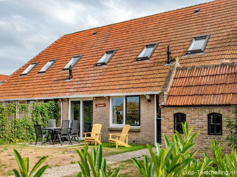 Alexander, Zum Terschelling mit Ihrem Hund