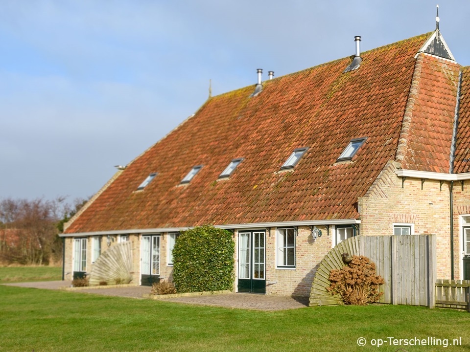 D Vijff Vlieghen (1), Ferienhaus auf Terschelling für 6 Personen