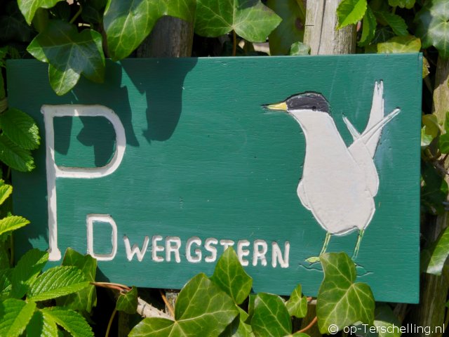 de Dwergstern