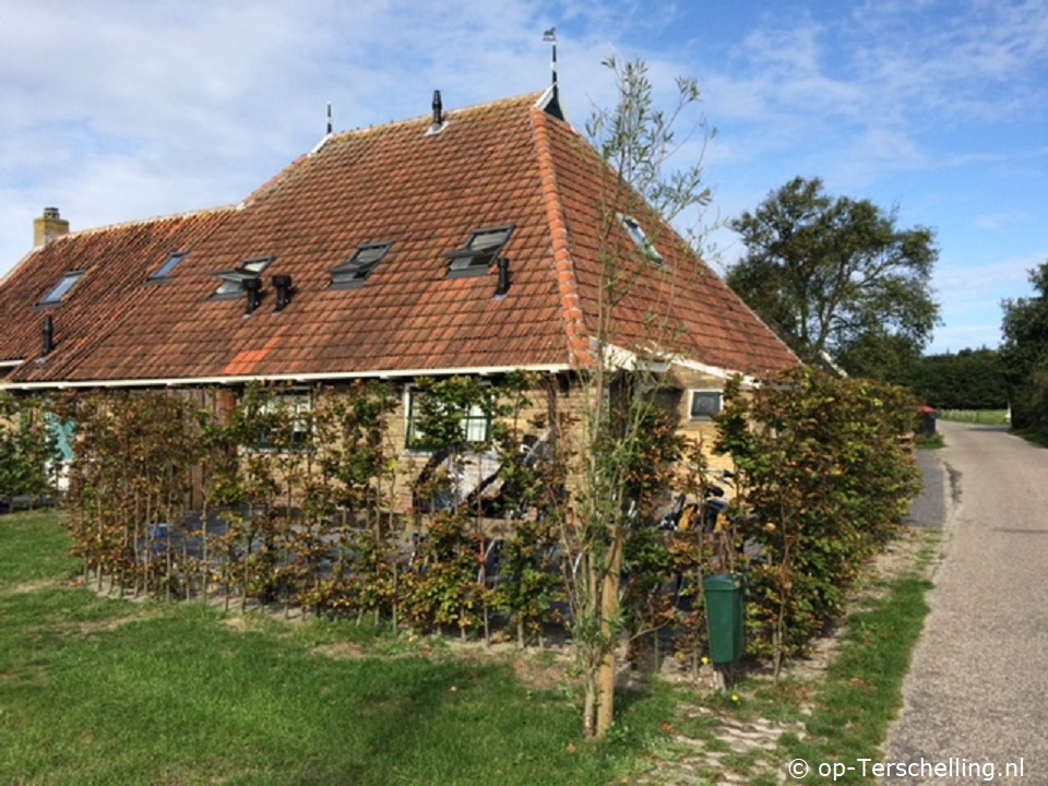 Lastminute Het Goeie op Terschelling