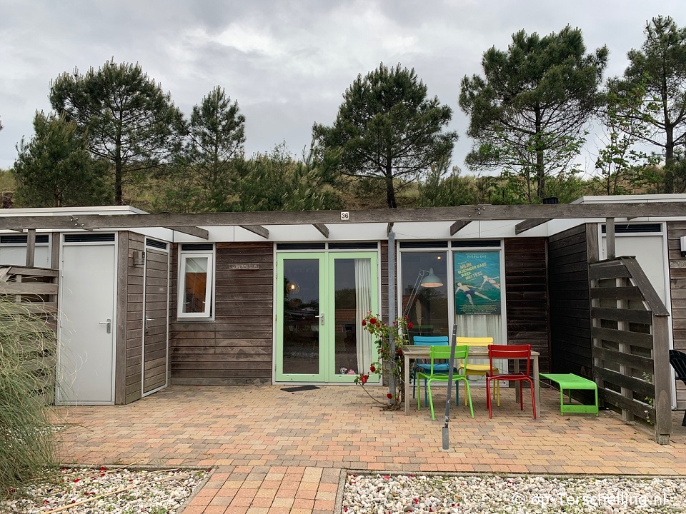 Korenbloem, Frühling auf Terschelling