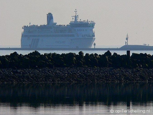 Gentiaan, Zeewinde, Zilverschoon & Wilgenroos