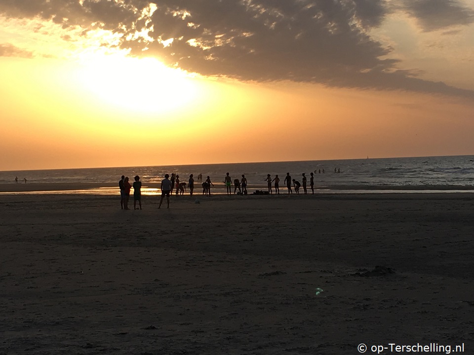 Duinroos (West aan Zee)