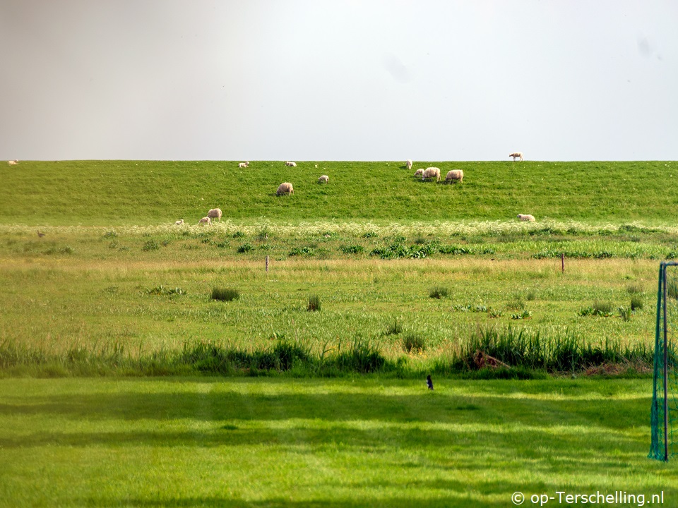 Om Aest - Lyts Schipsdune