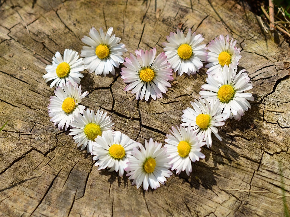 Valentinstagswochenende auf Terschelling